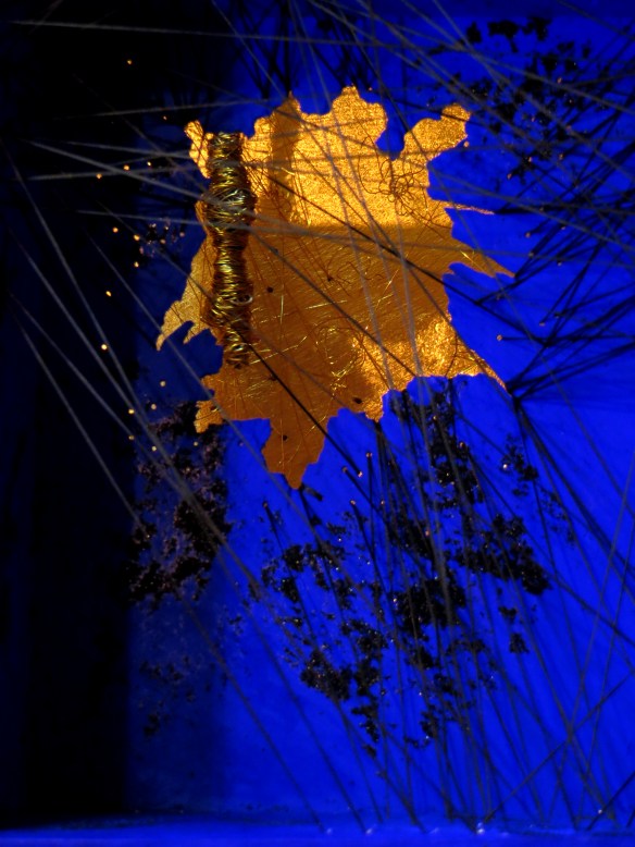 amrany IMG_0067 edit