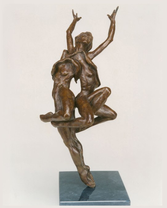 080 support and survival copy